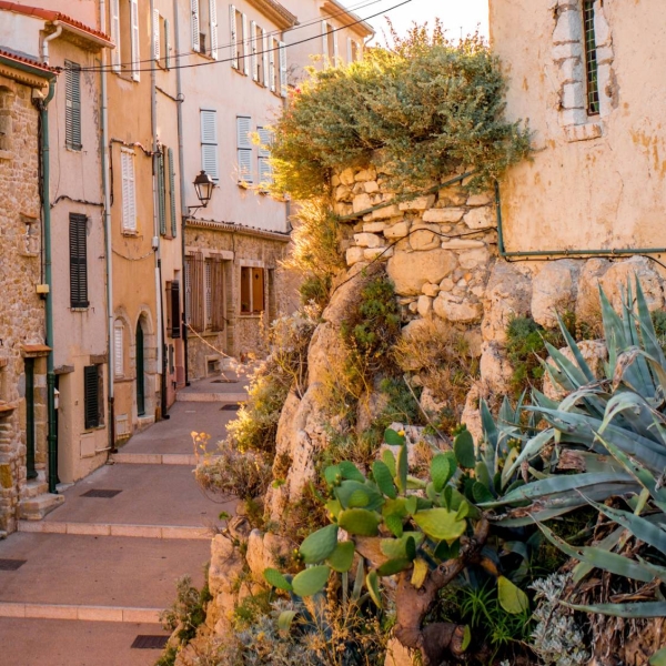 Casa Sapori - Restaurant vieil Antibes - Ristorante Antibes